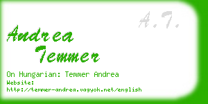 andrea temmer business card